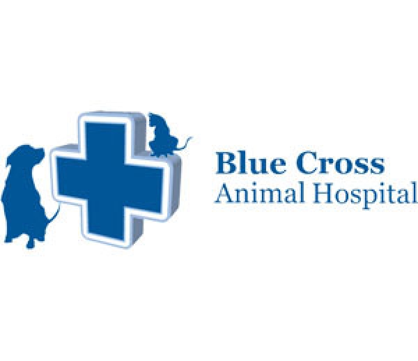 blue care animal hospital